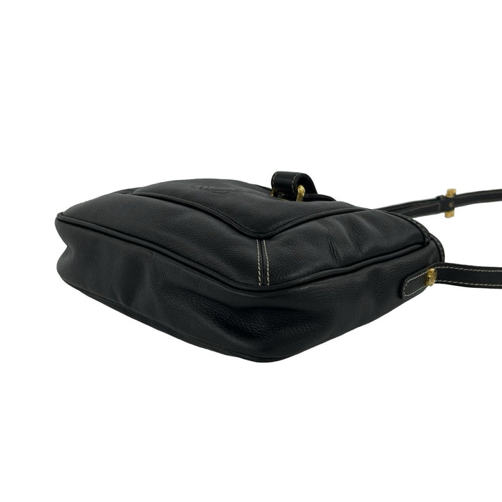 ショルダーバッグ ロエベ