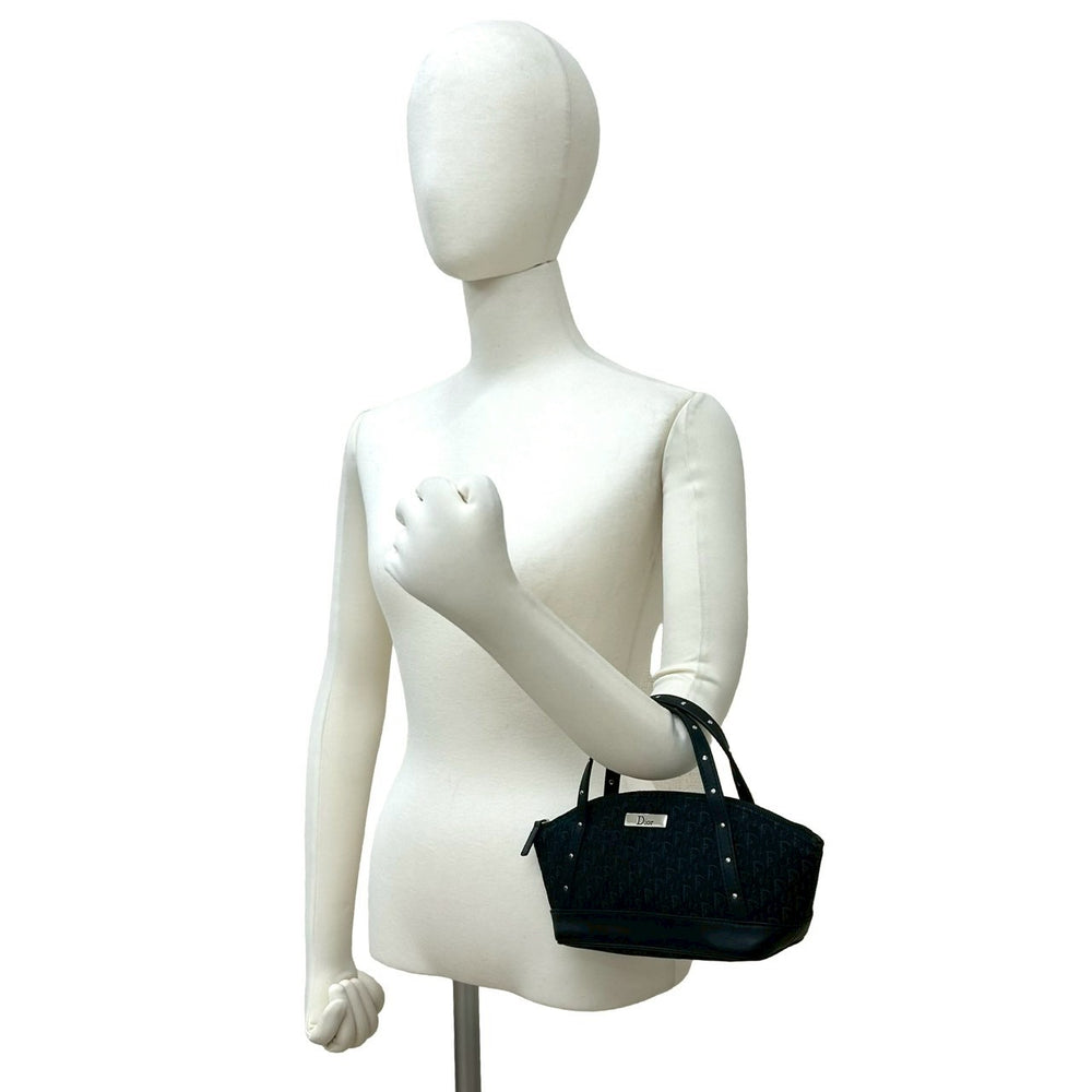 handbag dior