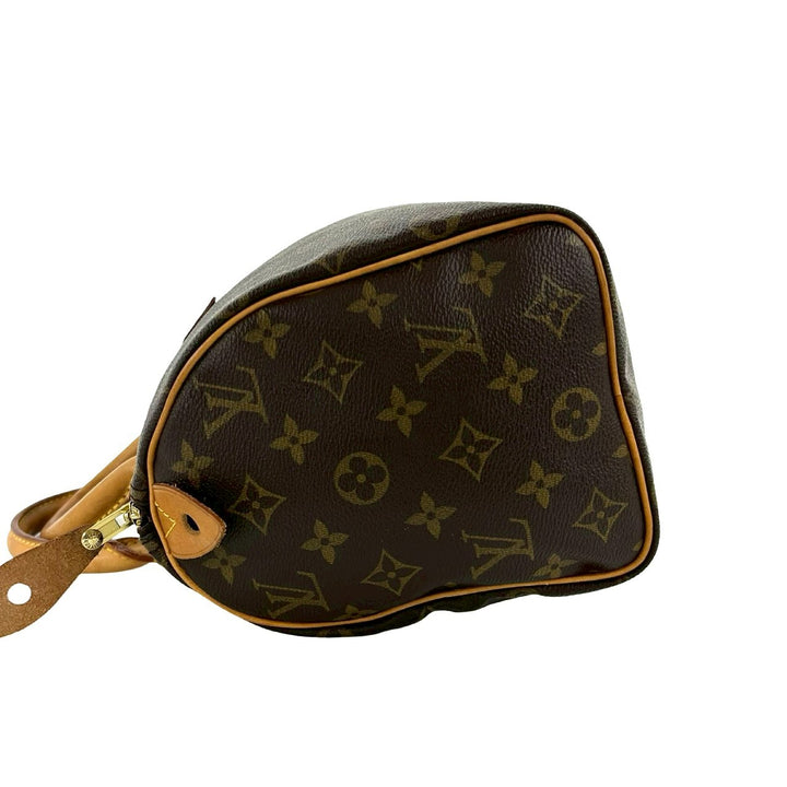 Handbag Louis Vuitton Speedy 25