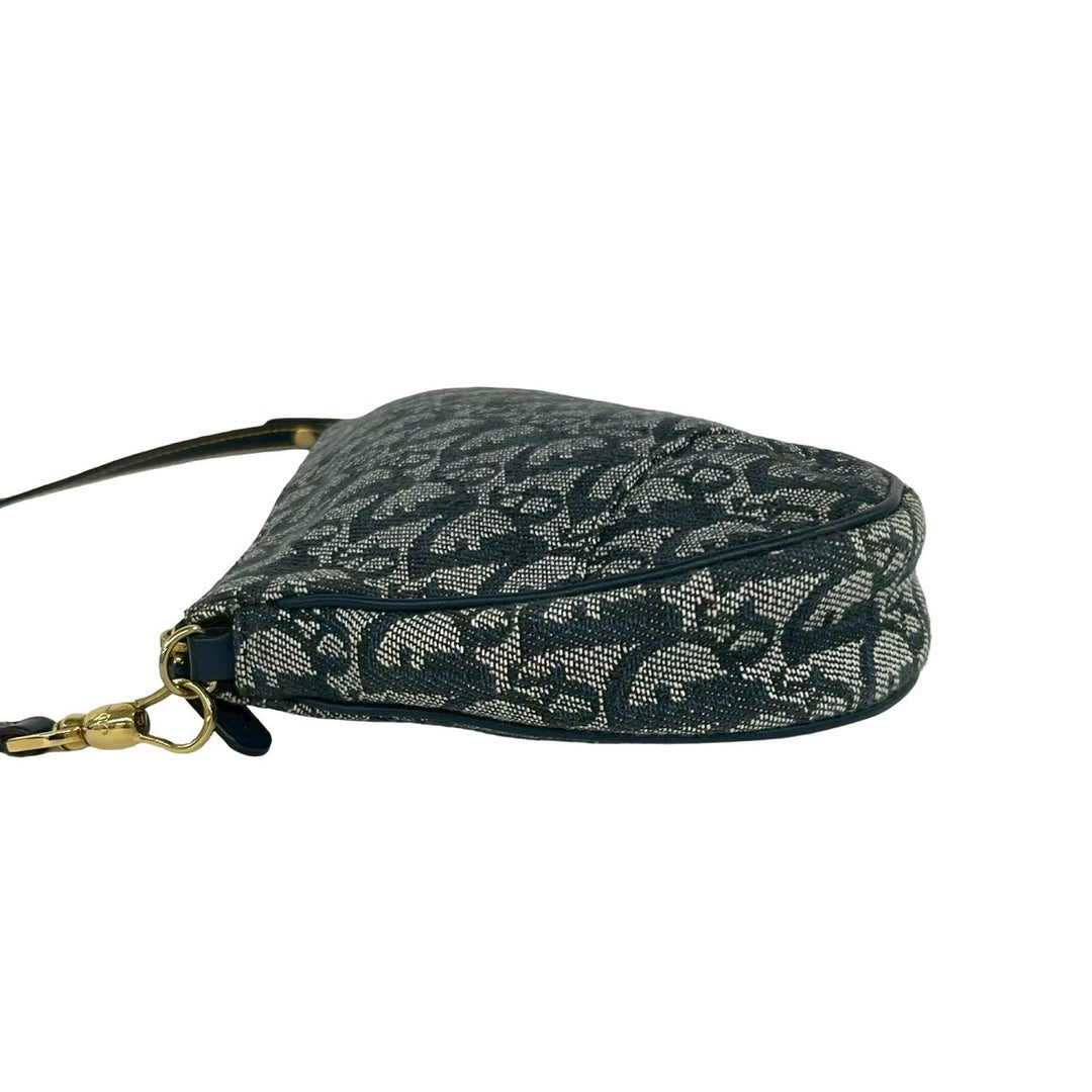 handbag dior saddle