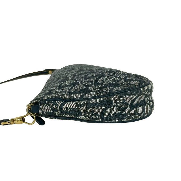 handbag dior saddle