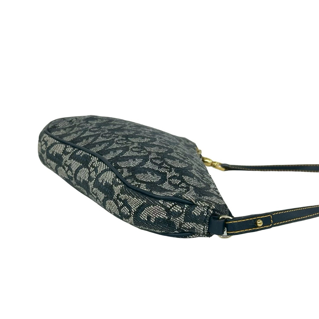 handbag dior saddle