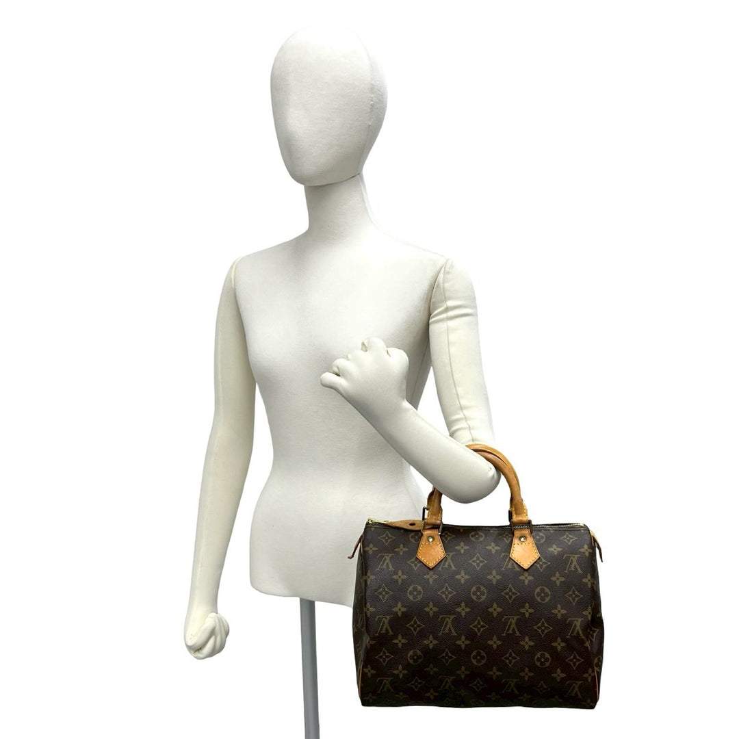 Handbag Louis Vuitton Speedy 30