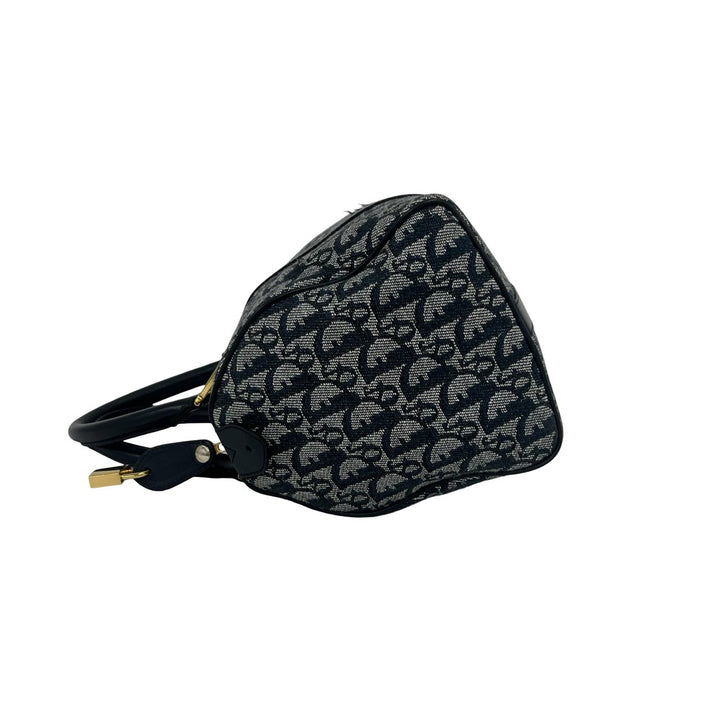 handbag dior