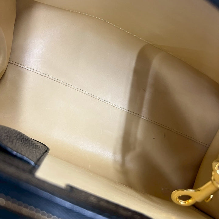 Delvaux Brillon 中型手提包