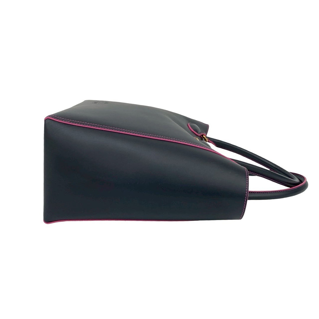 Loewe Leo Anagram 手提包