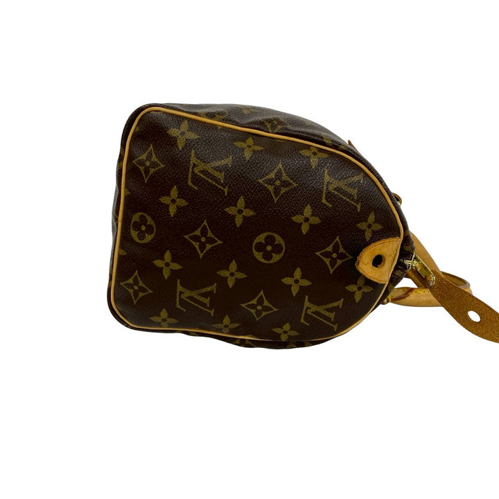 Handbag Louis Vuitton Speedy 25
